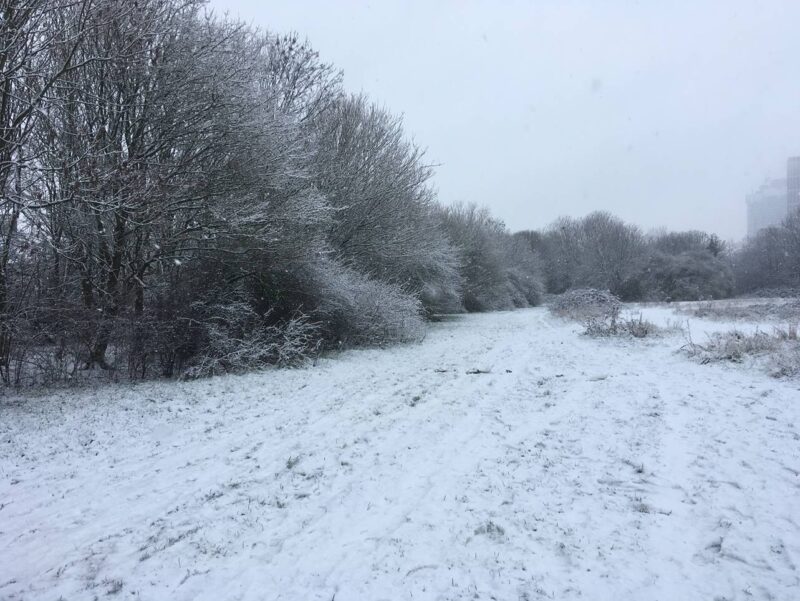 All crisp and even on Wormwood Scrubs this weekend but not for long when HS2 get to work