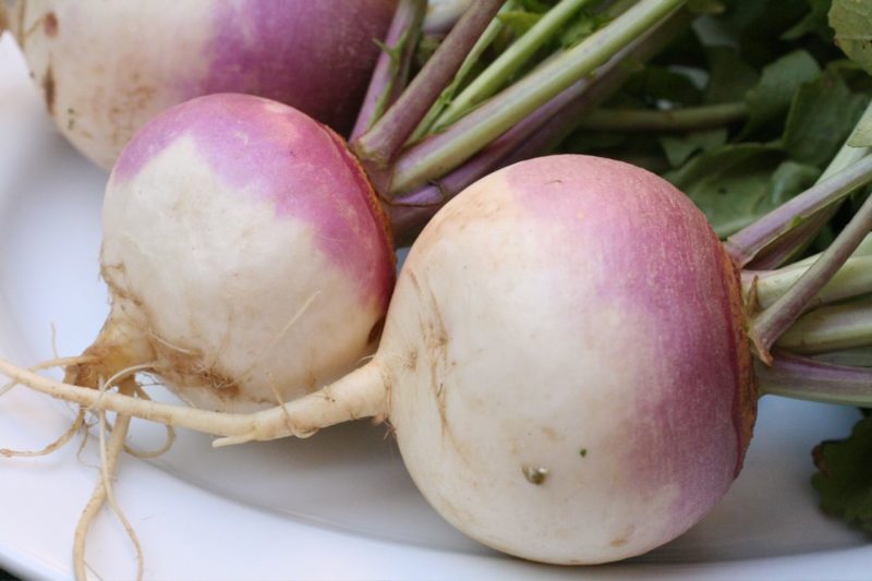 Two delicious turnips